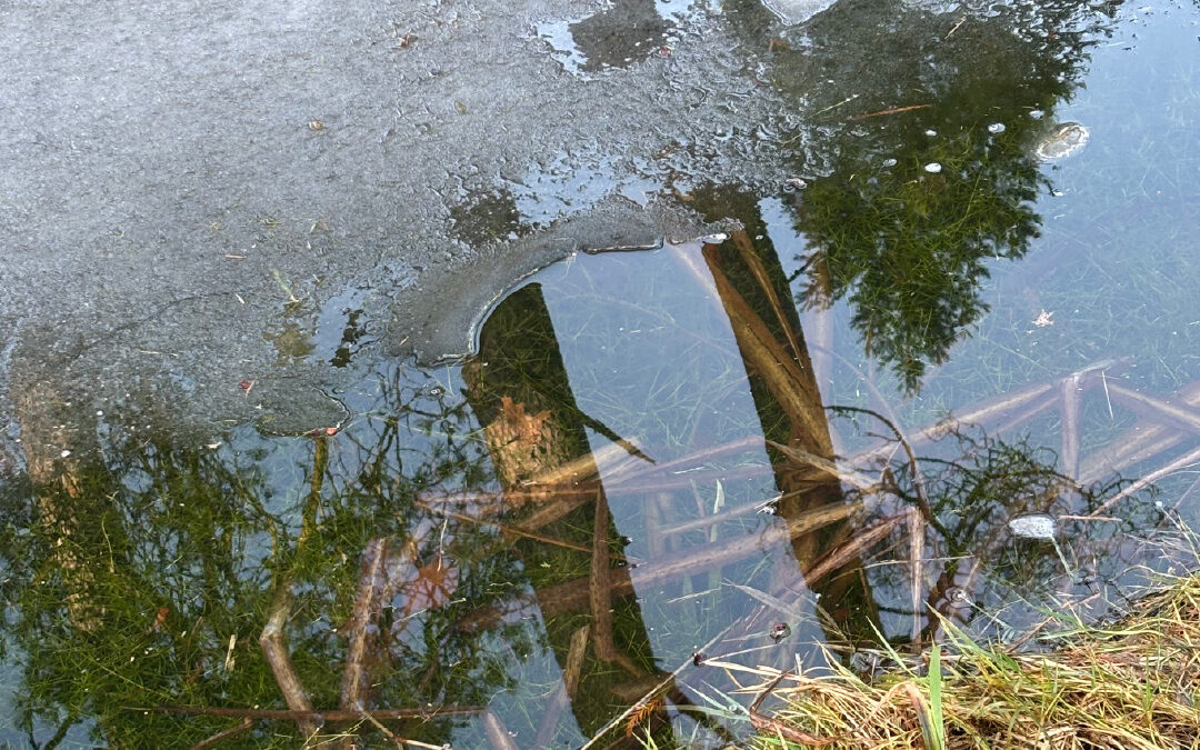 Hoe een workshop een spiegelende sessie werd