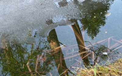 Hoe een workshop een spiegelende sessie werd