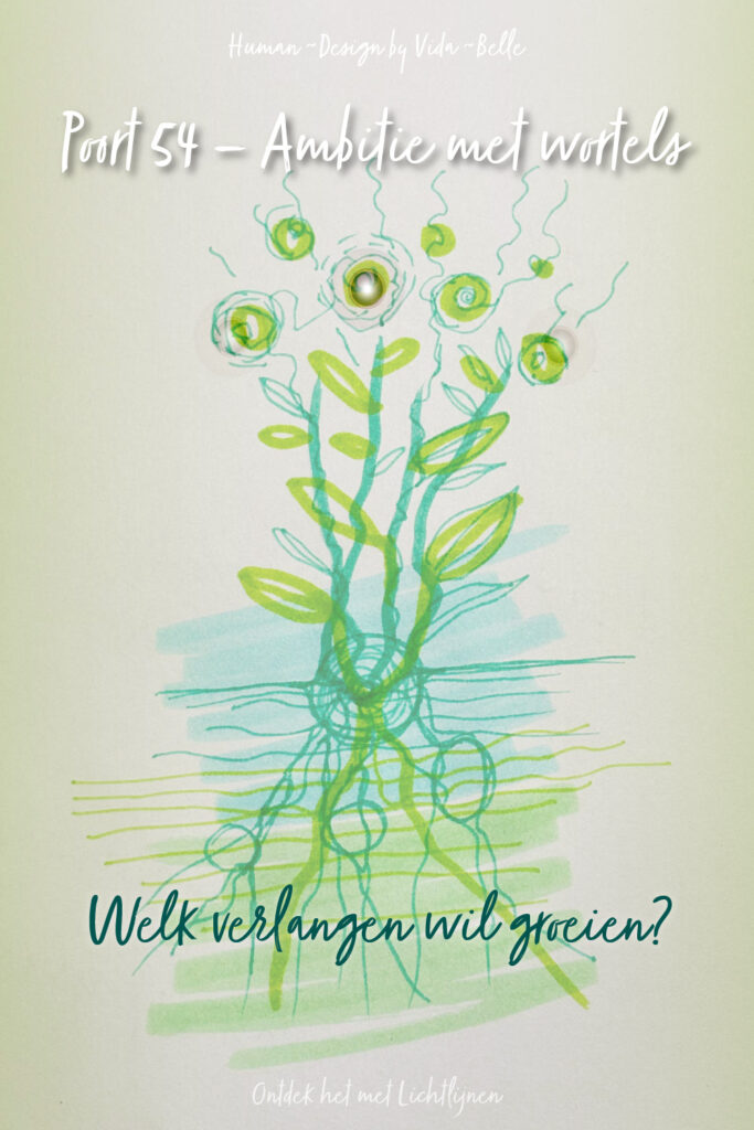 Lichtlijn-tekening van Human Design Poort 54, ambitie met wortels, met groene en turquoise lijnen die groei en bedding verbeelden, vergezeld van de vraag “Welk verlangen wil groeien?”