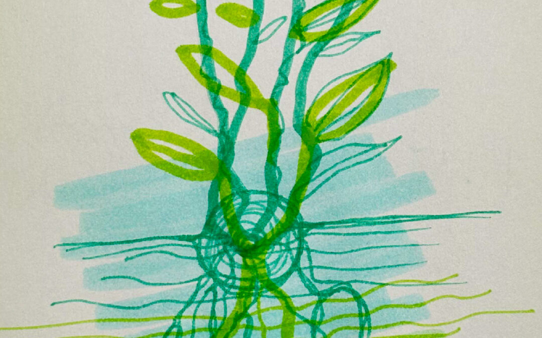 Poort 54: Ambitie met wortels