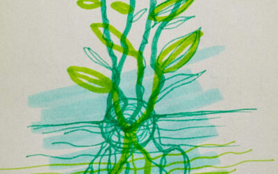 Poort 54: Ambitie met wortels