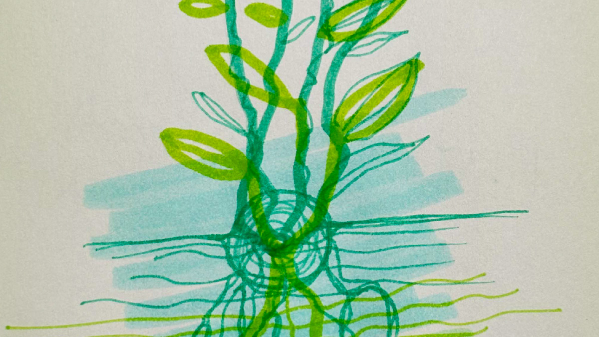 Detail van een Lichtlijn-tekening bij Human Design Poort 54, met wortelende lijnen en opwaartse groei die verlangen en ontwikkeling verbeelden.