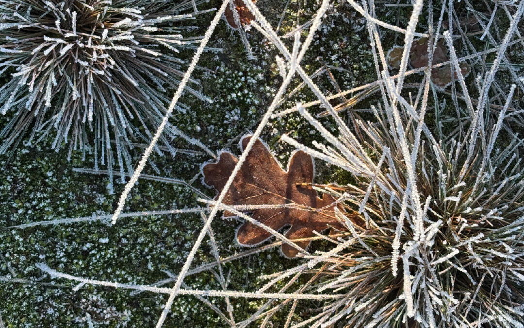 Reiki in een tijd van overgang