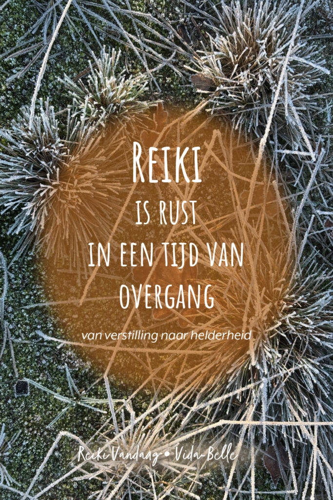 Rijp op wintergras met een bruin blad ertussen als symbool voor verstilling, innerlijke onrust en overgang in wintertijd. Reiki is rust in een tijd van overgang.