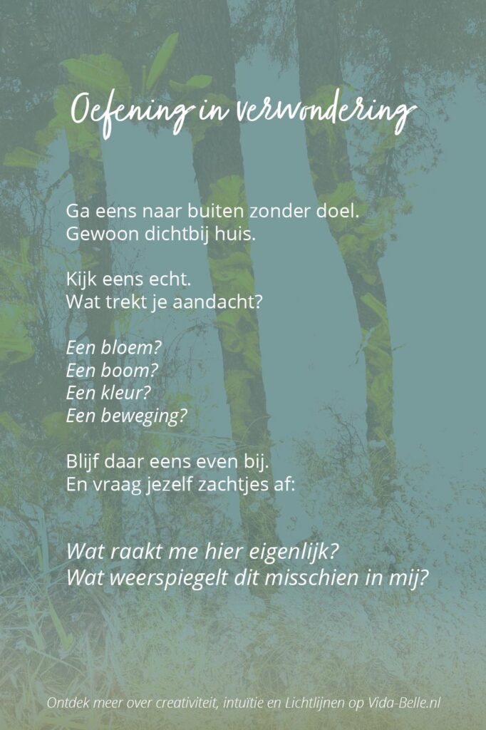 Oefening in verwondering met natuurreflectie en intuïtieve vragen over creativiteit, verwondering en natuur als spiegel.
